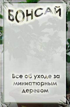 Илья Мельников - Что можно вырастить? Инвентаризация работника, или Что вам необходимо на участке