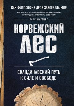 Мишель Макнамара - Я исчезну во тьме. Дело об «Убийце из Золотого штата»