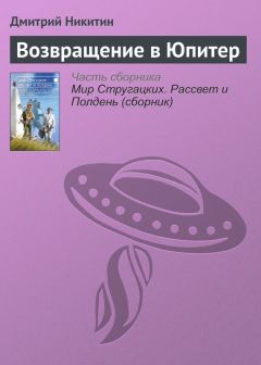 Дмитрий Никитин - Возвращение в Юпитер