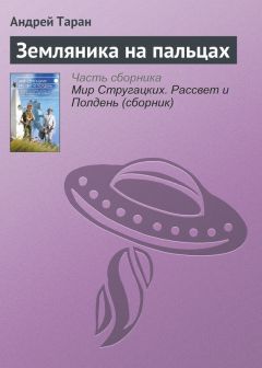 Андрей Никитин - Временная могила