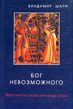 Владимир Шали - Архив огня