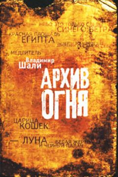 Николай Анфимов - В архив не вносить. Остросюжетная повесть