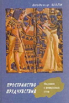 Владимир Зангиев - Чёрный оникс. Детективный роман