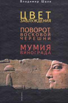 Владимир Шали - Черты вселенной в ее движении о самой себе