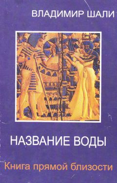 Владимир Шали - Черты вселенной в ее движении о самой себе