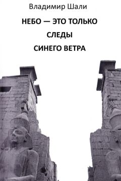 Игорь Родин - Совесть палача