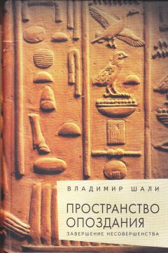 Владимир Шали - Черты вселенной в ее движении о самой себе