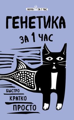 Маркус Хенгстшлегер - Власть генов: прекрасна как Монро, умен как Эйнштейн