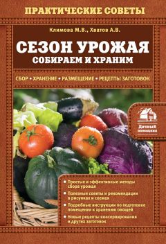  Сборник рецептов - Заготовки из овощей и грибов. Как выбрать, что приготовить