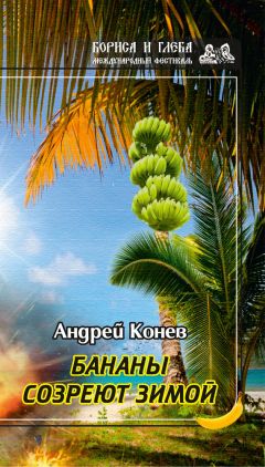 Андрей Никольский - Алмазный мираж
