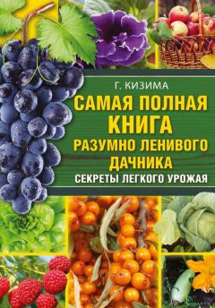 Галина Кизима - Большая книга умного дачника