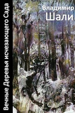 Владимир Шали - Черты вселенной в ее движении о самой себе