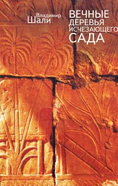 Вета Ножкина - Небо на ниточке. Роман-дневник