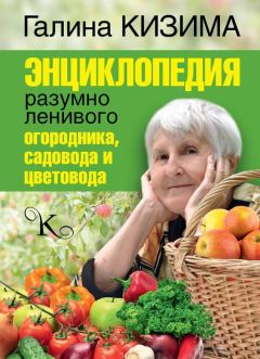 Галина Кизима - Энциклопедия разумно ленивого огородника, садовода и цветовода