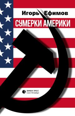 Фридрих Фурман - Как работает филантропия в США. Идеи и практика, ресурсы и организация