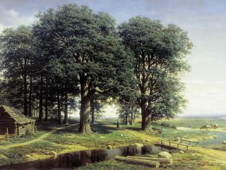 Кристина Кашкан - Лифт Осознаний