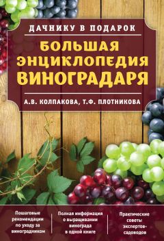 Галина Кизима - Большая книга умного дачника