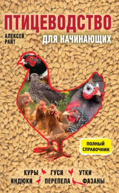 Лариса Конева - Прибыльное разведение кур, уток, гусей и индюшек. Содержание и уход