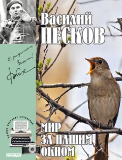 Дмитрий Герасимов - Возвращение ценности. Собрание философских сочинений (2005—2011)