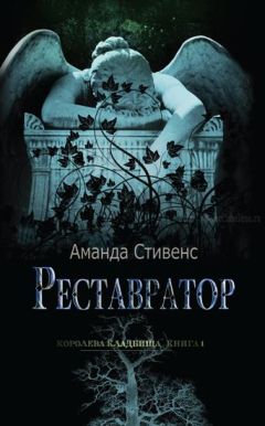 Наташа Шторм - Ангел над бездной