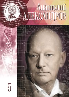 Анатолий Клёсов - Интернет: Заметки научного сотрудника