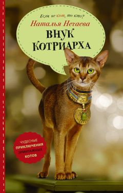 Ренард Фиерци - Чародейская Академия. Книга 3. Неисправимые нарушители