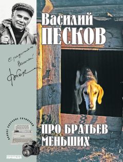 Василий Песков - Полное собрание сочинений. Том 16. В час высокой воды