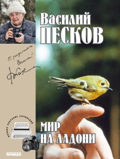 Василий Песков - Полное собрание сочинений. Том 23. Лесные жители