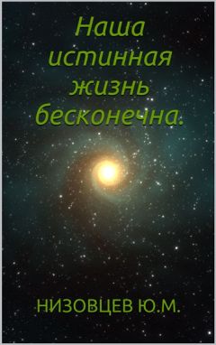 Юрий Низовцев - Новое – от противного – доказательство присутствия Бога