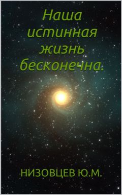 Юрий Низовцев - Человек как голограмма