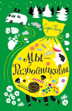 Вениамин Нетёсов - Агдер-бурские приключения. Детский детектив