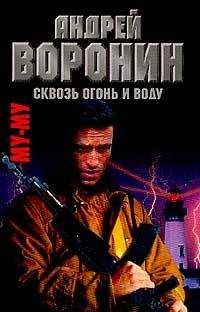 Андрей Воронин - Ищи врагов среди друзей