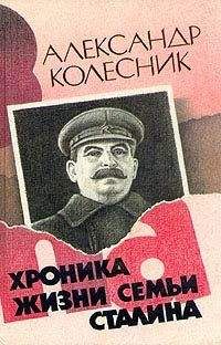 Максим Алексашин - Последний бой Василия Сталина