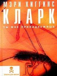 Мэри Кларк - Пепел розы