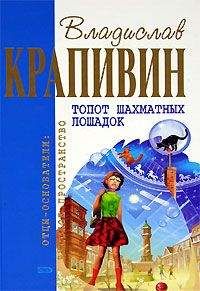 Владислав Крапивин - Стальной волосок