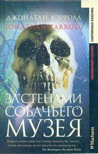 Джонатан Кэрролл - Сон в пламени