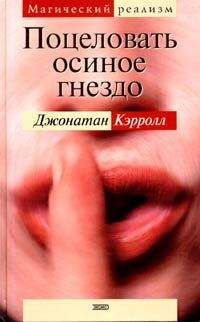 Джонатан Кэрролл - Поцеловать осиное гнездо