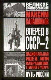 Максим Калашников - Цунами 2010-х годов