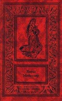 Януш Мейсснер - Черные флаги