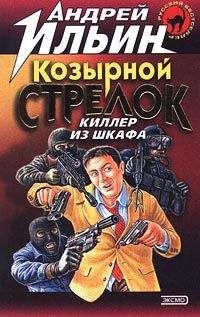 Андрей Ильин - Картонный воин