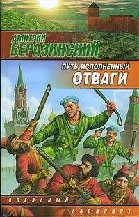 Дмитрий Беразинский - Путь, исполненный отваги
