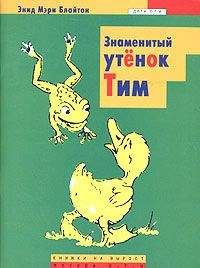 Энид Блайтон - Приключения Нодди в Игрушечном городе