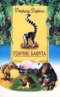 Джеральд Даррел - Три билета до Эдвенчер