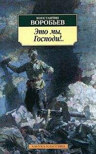 Стефани Майер - Ослепленная правдой