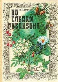 Геннадий Свиридонов - Лесной огород