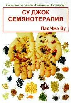 Лин Ван - Тайцзицюань. Искусство гармонии и метод продления жизни