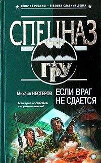 Михаил Шалаев - Сокровище Джунаида