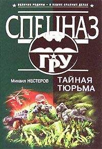 Михаил Нестеров - Если враг не сдается