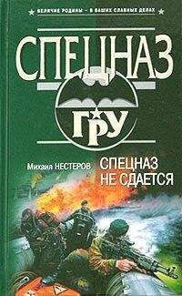 Валерий Рощин - Масштабная операция