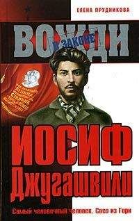 Елена Прудникова - Берия, последний рыцарь Сталина